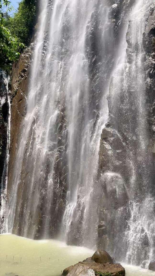 原来陈醋、香醋、白醋、米醋差别这么大，千万别买错了，涨知识了游戏画面